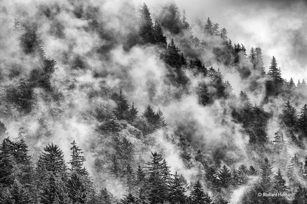 Juneau man’s passion for African and Alaskan wildlife photos takes him to wild places