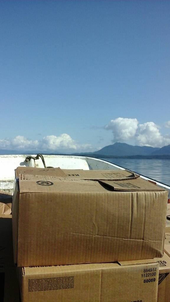 The author is barely able to see the strait over the pile of boxes after a stock-up run for groceries. Photo by Tara Neilson | For the Capital City Weekly