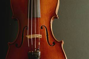 Romantic chamber music at the state library