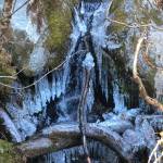 Tumbling down from Mount McGinnis to Mendenhall Lake, a side creek freezes into icy formations. (Photo by Denise Carroll)