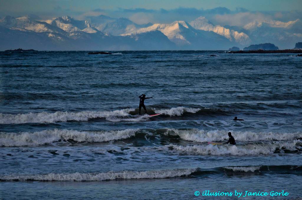 Surfers out at Lena Cove. (Photo by Janice Gorle)