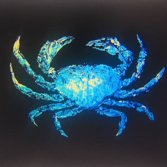 Gyotaku of a crab. Photo and art by Jerry Wright.