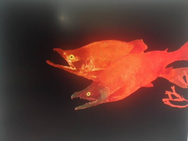 Gyotaku of salmon. Photo and art by Jerry Wright.