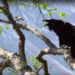 Screenshot of footage from &ldquo;Heartbeat&rdquo; music video on YouTube.