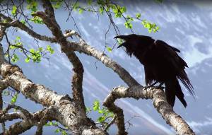 Screenshot of footage from &ldquo;Heartbeat&rdquo; music video on YouTube.