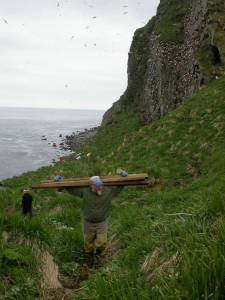 Steve Ebbert hauling lumber for a cabin refuge staff built on Buldir Island in 2004.
