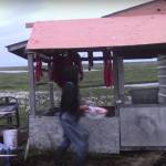 Sitka’s Wild Language Festival: The art and craft of storytelling