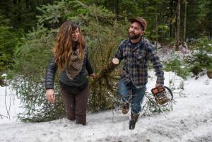 Matt Roda and his wife, Emily Smith, haulout their freshly cut spruce tree for Christmas from under the powerlines on Fish Creek Road on Wednesday, Nov. 29, 2017. (Michael Penn | Juneau Empire)