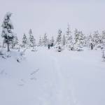 Rainforest Photos Blog: Snowshoeing Spaulding