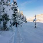 Rainforest Photos Blog: Snowshoeing Spaulding