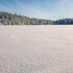 Rainforest Photos Blog: Snowshoeing Spaulding