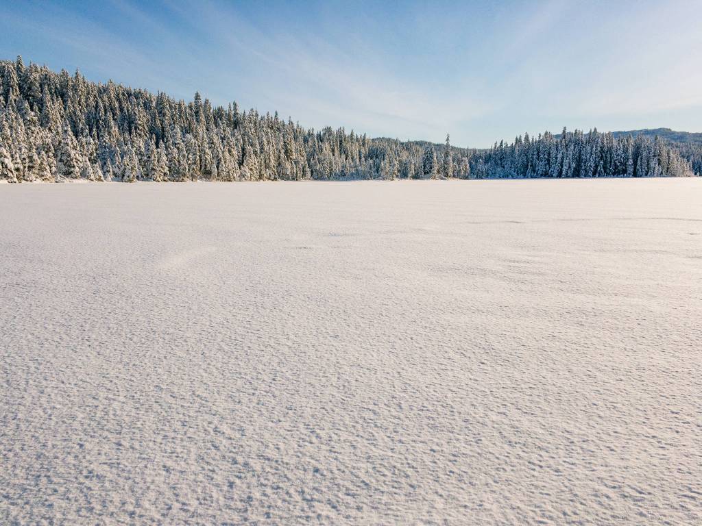 Rainforest Photos Blog: Snowshoeing Spaulding