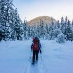 Rainforest Photos Blog: Snowshoeing Spaulding