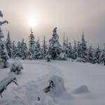 Rainforest Photos Blog: Snowshoeing Spaulding