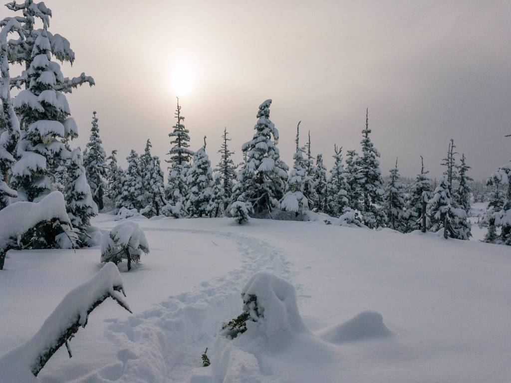 Rainforest Photos Blog: Snowshoeing Spaulding