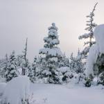 Rainforest Photos Blog: Snowshoeing Spaulding