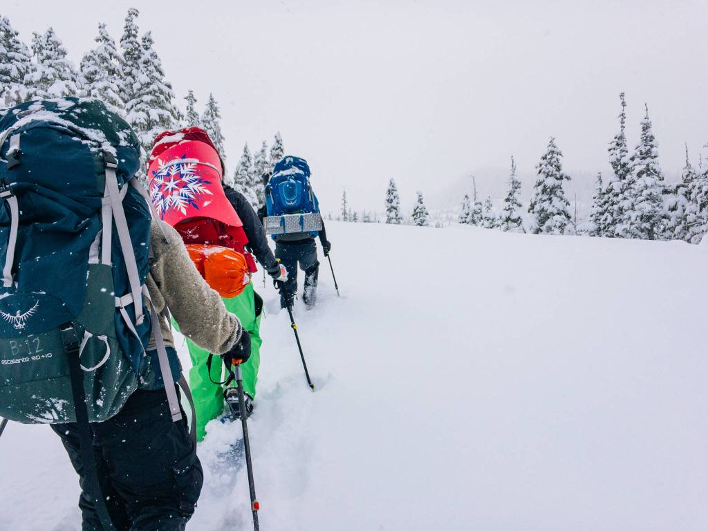 Rainforest Photos Blog: Snowshoeing Spaulding