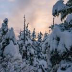 Rainforest Photos Blog: Snowshoeing Spaulding