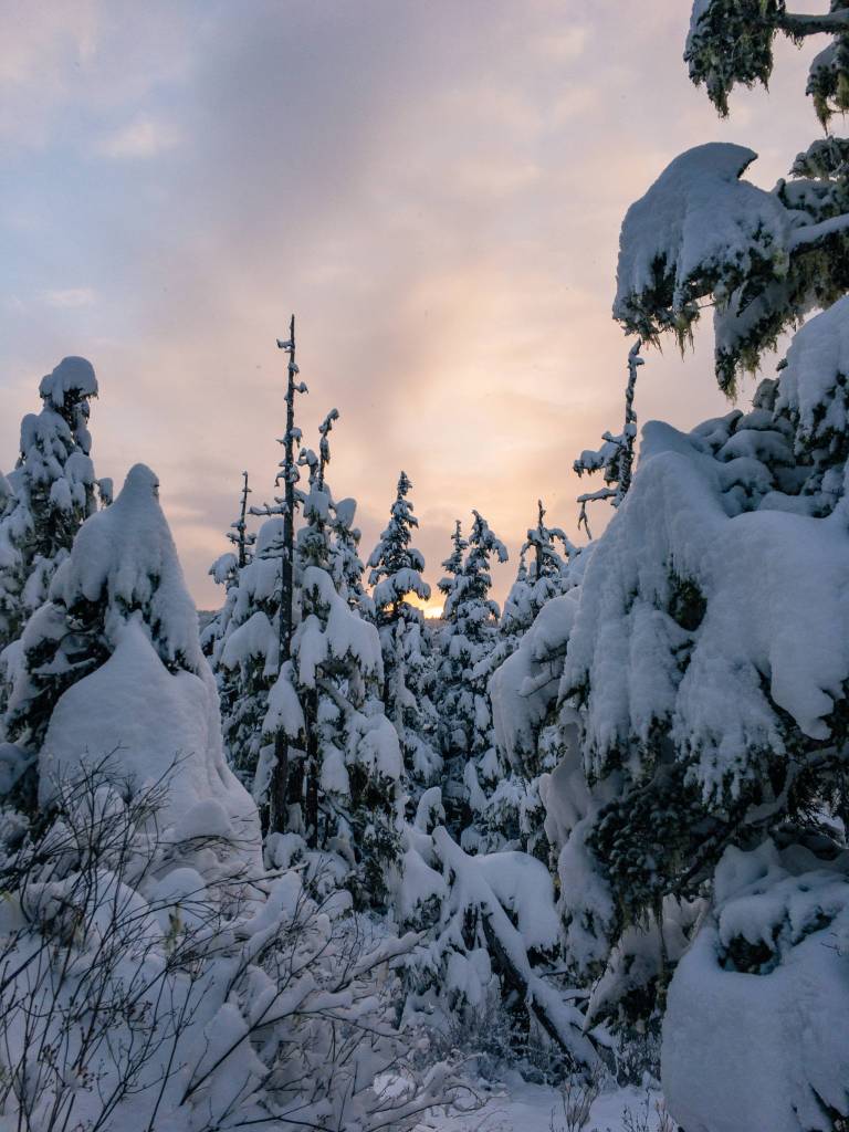 Rainforest Photos Blog: Snowshoeing Spaulding