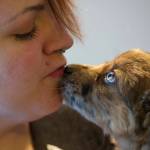 Briana Brint, president of Southeast Alaska Organization for Animals, holds a blind puppy named Lucy at a animal foster home in Juneau on Thursday, Nov. 30, 2017. Lucy is from a litter rescued from Prince of Wales by the organization. (Michael Penn | Juneau Empire)