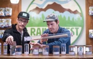 Brothers James and Giono Barrett, owners of Rainforest Farms, arrange a display of their cannabis products at their retail store in Juneau on Monday, Dec. 4, 2017. The brothers just celebrated the one year anniversary of their business. (Michael Penn | Juneau Empire)