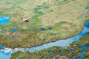 In this undated photo provided by the U.S. Fish and Wildlife Service, an airplane flies over caribou from the Porcupine Caribou Herd on the coastal plain of the Arctic National Wildlife Refuge in northeast Alaska. A showdown is looming in the nation&rsquo;s capital over whether to open America&rsquo;s largest wildlife refuge to oil drilling. A budget measure approved by the Republican-controlled Congress allows lawmakers to pursue legislation that would allow drilling on the coastal plain of the Arctic National Wildlife Refuge. The refuge takes up an area nearly the size of South Carolina in Alaska&rsquo;s northeast corner. (U.S. Fish and Wildlife Service via AP)