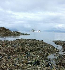 A seiner getting ready to set its net close to shore. Courtesy of Tara Neilson.