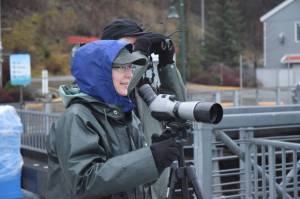 Laurie Lamm, left, and Ron Berg search for birds at the cruise ship docks downtown on Saturday. (Kevin Gullufsen | Juneau Empire)