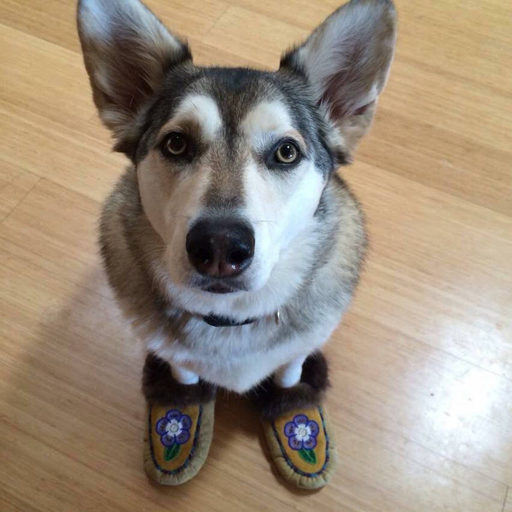 An avid reader of Planet Alaska. Photo courtesy of Vivian Faith Prescott.