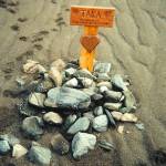 The gravesite for Juneau man Russell Peterson&rsquo;s dog, Taka, taken in the early 2000s. The paw prints nearby are from Peterson&rsquo;s other dog Miaku. (Courtesy photo | Russell Peterson)