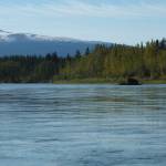 A vista of forest and mountains surrounding the Nisutlin River. Photo by Bjorn Dihle.