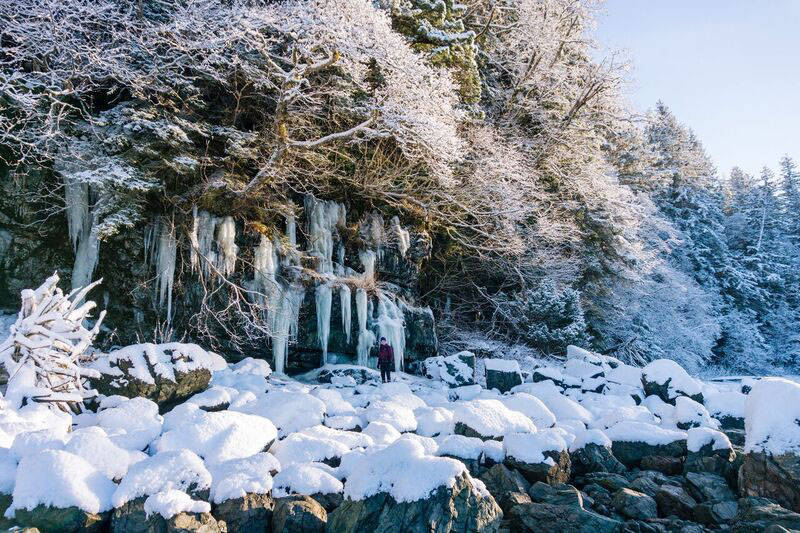 Icicles develop on the side of the cliff facing the ocean. (Gabe Donohoe | For the Juneau Empire)