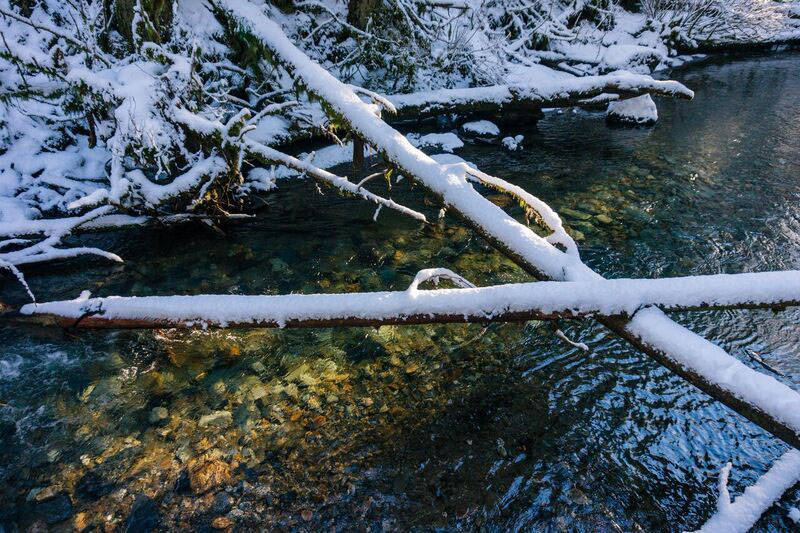 Sunlight shines into Sawmill Creek. (Gabe Donohoe | For the Juneau Empire)
