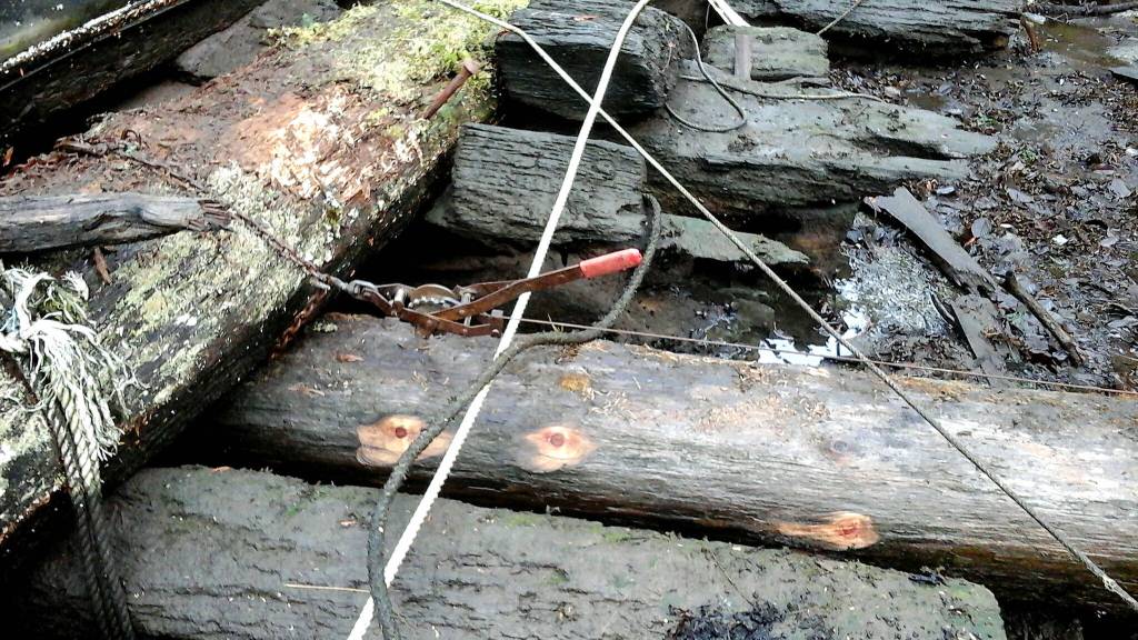 The new log is in place amidst the bug-eaten other float logs. Photo by Tara Neilson