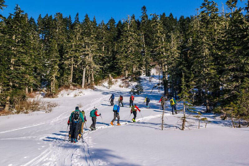 Following the path of least resistance up the hill.(Photo by Gabe Donohoe)