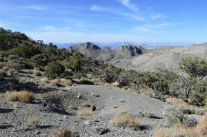 An agave roasting pit used by an indigenous people that once lived in the DNWR. (Photo Bjorn Dihle)