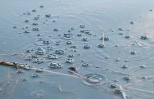 Michael Penn | Juneau Empire Bubbles perculate to the surface along the northern shore of Douglas Island on Jan. 30. Watch a video of the phenomenon online at juneauempire.com.