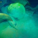 This March 19 underwater video image shows a propeller, part of wreckage from the USS Juneau, a U.S. Navy ship sunk by the Japanese torpedoes 76 years ago, found in the South Pacific. Philanthropist and Microsoft co-founder Allen has announced that wreckage of the sunken ship on which five brothers died in World War II has been discovered in the South Pacific. A spokeswoman for Allen confirms wreckage from the USS Juneau was found Saturday off the coast of the Solomon Islands. (Paul Allen)