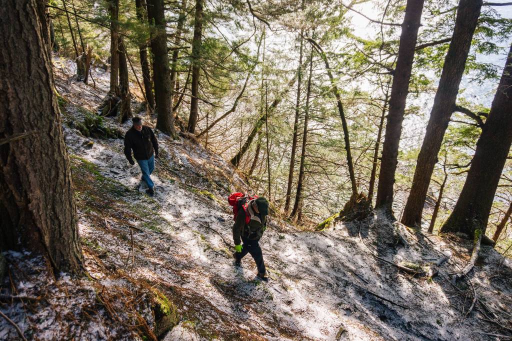 Brian Donohoe, the photographer&rsquo;s father, left, and his friend Stan headed back on DuPont Trail Wednesday. Sunshine streams through, lighting up under the canopy. (Gabe Donohoe | For the Juneau Empire)