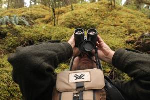 Glassing for grouse looks weird, but this is the way it&rsquo;s done&