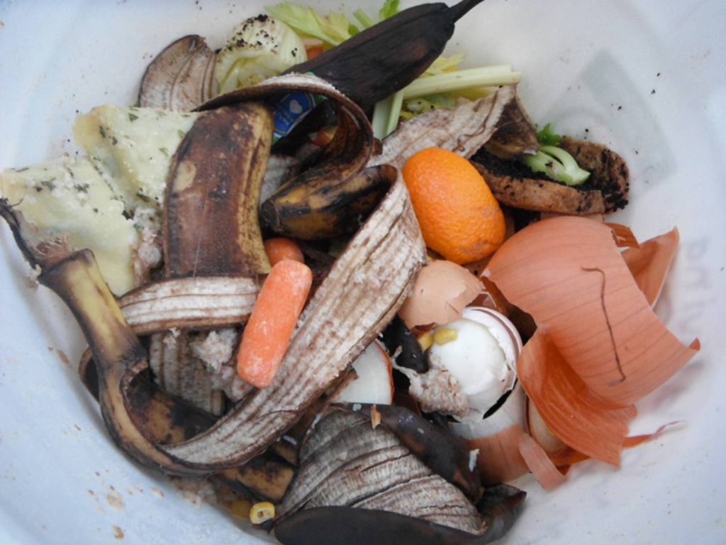 Juneau Composts promotes landfill diversion and soil-building by providing compost education, technical support, and convenient compost processing services. Photo courtesy of Juneau Composts.