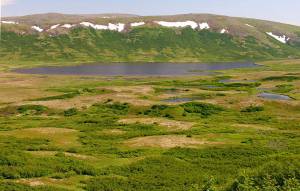 Pebble Mine. (Erin McKittrick | Creative Commons)