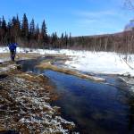 Kanuti Hot Springs (Ned Rozell | For the Juneau Empire)