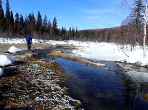 Kanuti Hot Spring. Photo by Ned Rozell.