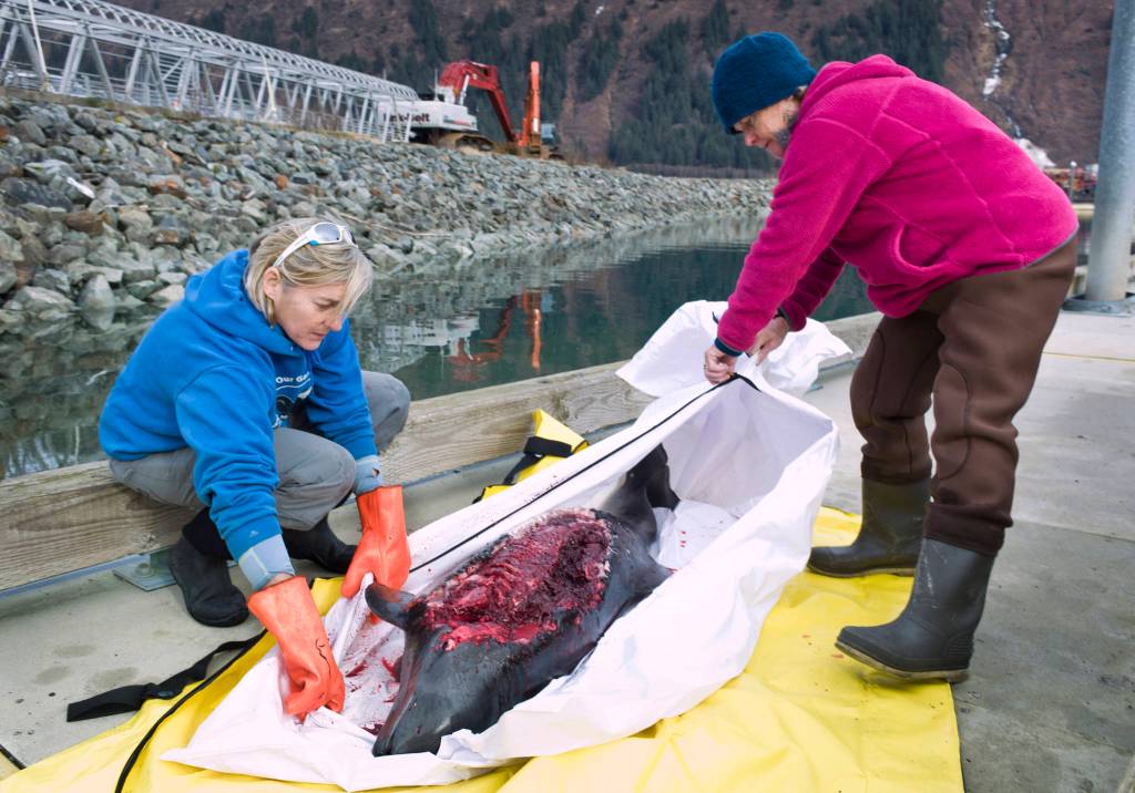 Juneau pioneers Ridgway, King selected for AK Women’s Hall of Fame