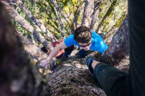 Seth and Timmy follow up the tree. (Photo by Gabe Donohoe)