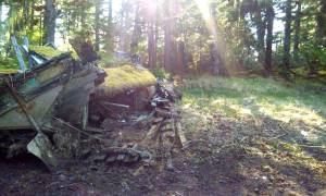 A fishing boat brought low by entropy and being slowly engulfed by the Duma of Decay. Tara Neilson | For the Capital City Weekly