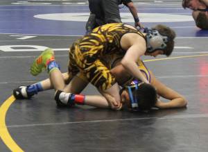 Four Juneau wrestlers win state title in folkstyle wrestling