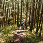 Biker heads down slope. Dog following right behind. (Gabe Donohoe | For the Juneau Empire)