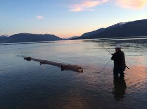 Capturing the burl log. Vivian Faith Prescott | For the Capital City Weekly